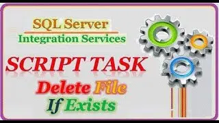 SSIS - Delete Existing File By Script Task