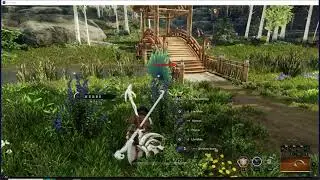 Farm Hyssop  / New World 2024