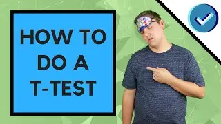 How to do a T-Test for The Population Mean (One-Sample)