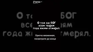 😎ПРИТЧА О ЖИЗНИ, СМОТРИТЕ ДО  КОНЦА