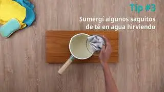 Cómo sacar mal olor del calzado | Cleanipedia