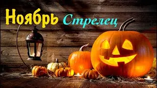 Стрелец _ Ноябрь 2023 _ таро прогноз на месяц _ от Wise_NikOwl