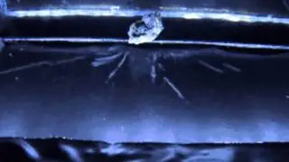 Radioactive emission of Uranium visible to naked eye in a cloud chamber! Full HD