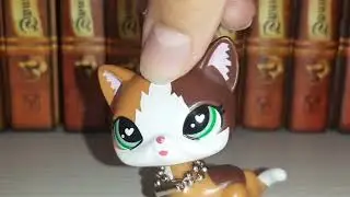я снимаю 2 фандома? или какое то одно?