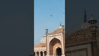 subhab Allah #masjid #mosque #masjidnabawilovers