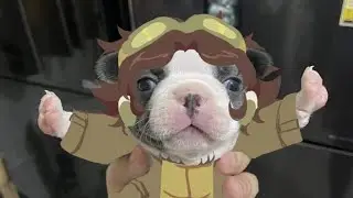 Just some fun with Aninjawolf3 in Overwatch 2