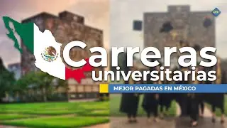 Top 5 | Carreras universitarias mejor pagadas 2022