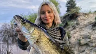 БРУДНІ СУДАЧКИ БУДУТЬ ПОКАРАНІ! Ловля судака на Дніпрі на джиг! Рибалка на спінінг 2024
