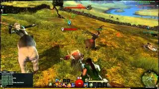 Guild Wars 2 Gameplay - Grim Panda