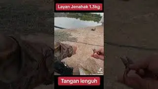 Aku Merajuk ngan Jenahak Jugra