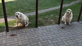 Новая игра!