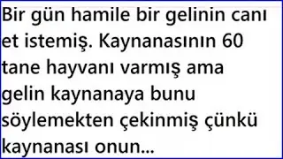 Bir gün Hamile Kadının Canı Et İstemiş Kaynanası Bakın Ne Yapmış