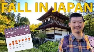 Japan in Fall 2024: Your Autumn Travel Guide