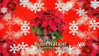 Buon Natale!  Merry Christmas!