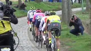 Omloop Het Nieuwsblad 2019