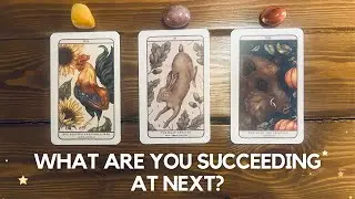 What Are You Succeeding at Next? ✨👏❤️✨ | Timeless Reading