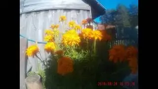 Отдых в Лен.обл.