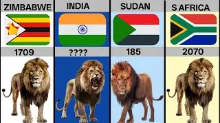 Lion Population From Different Countries | Lion population by Country 2025