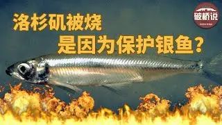 为了保护一种鱼，烧毁了洛杉矶？