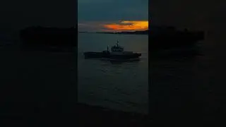 8 сентября 2024 г.