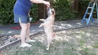 7/23/2023  Slow Motion Scout