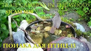 ПОИЛКА ДЛЯ ПТИЦ -13