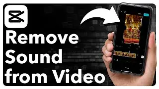 How To Remove Sound From A Video In CapCut
