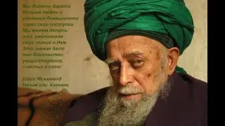 Мауляна Шейх Назим аль-Хаккани. 