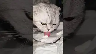 Будь здорова, ням 😋. 15 июля 2024 г. 