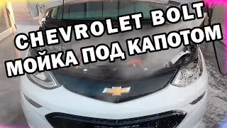 Мойка Электромобиля Chevrolet Bolt Под Капотом На Мойке Самообслуживания Under Hood Wash