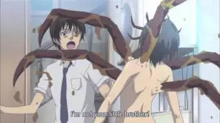 I'm Not Your Little Brother!