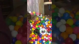Refill our gumball machine! 