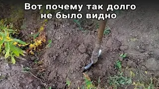 Вот почему на канале так долго не было видео