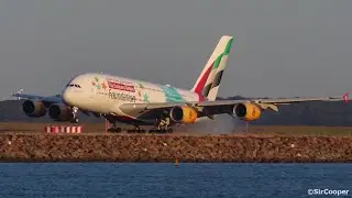 30 MINUTES of PERFECT Golden Hour Takeoffs and Landings at Sydney Airport | Plane Spotting at Sydney