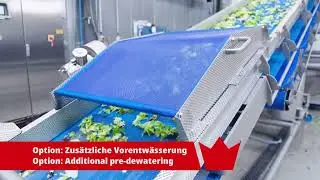 Processing line for lettuce and vegetables from KRONEN - for up to 4 t/h