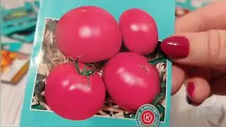 Обзор семян для нового сезона 2 часть. Проверенные и новинки