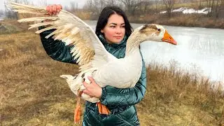 Mega Goose Stuffed with Quails and Cooked in the Oven! An Unforgettable Recipe