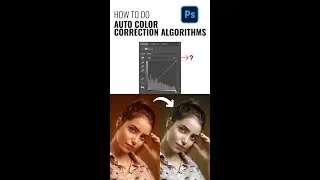 How to use Auto Color Correction Algorithms in ADOBE PHOTOSHOP 