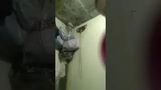 пять ночей