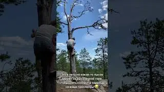 Все для контента