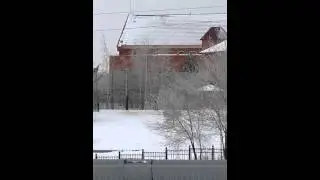 Дикие утки в центре Астаны