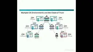Public Key Infrastructure (PKI)