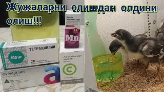 ЖУЖА БОКИШ КАСАЛ БУЛИШДАН ВА ОЛИШДАН ОЛДИНИ ОЛИШ! 😱😱😱