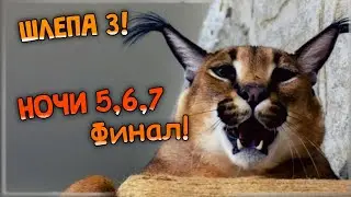 ФИНАЛЬНЫЕ НОЧИ! ФИНАЛ ИГРЫ! ✅ Five Nights at Floppa 3 #2