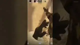 Как надо рашить 