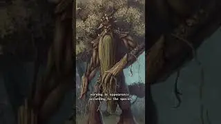 What are Ents in Lord of the Rings? | Mythology of Middle Earth 