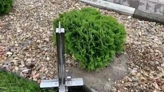 Поймали крота на кротоловку из нержавейки Талпер