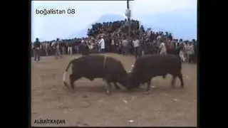 kafkasör 1986 baş boyu finali  /  Dadaş - Apo