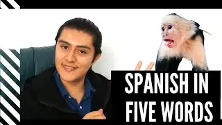 Five Easy Spanish words/ BEGINNERS SPANISH