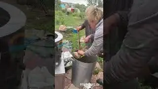 Ощип перепелов в перосъемной машине Nt-600a. Как ощипать перепелку. Отзыв покупателя. АГРОСТАРТ